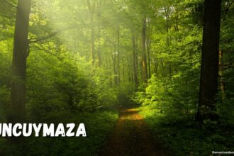 An Insider's Guide to Uncuymaza