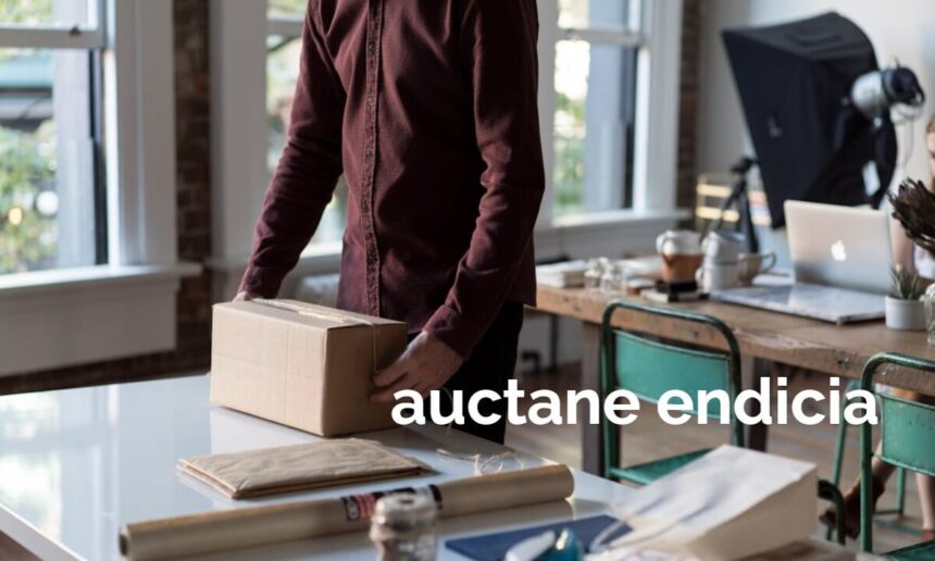 How to Set Up Auctane Endicia for Your Business