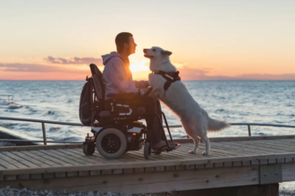 The Ultimate Guide to Choosing a Foldable Power Wheelchair