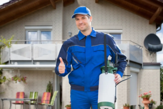 DIY vs. Pro: Choosing the Right Termite Removal Solution