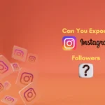 Who Can Benefit from Instagram Foller Export?