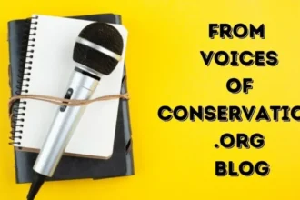 Insights From Voicesofconservation.org Blog: All You Need to Know