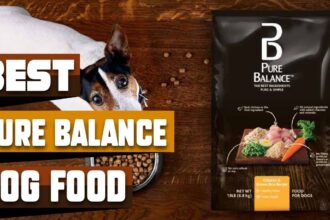 When Is the Best Time to Eat Pure Balance Dog Food?