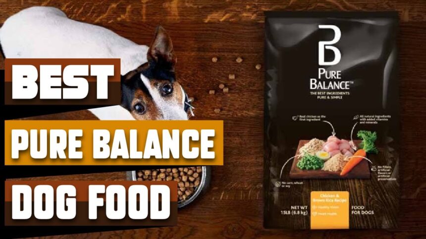 When Is the Best Time to Eat Pure Balance Dog Food?