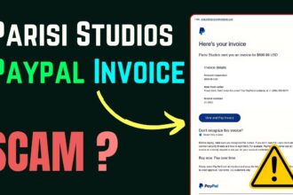 parisi studios paypal scam