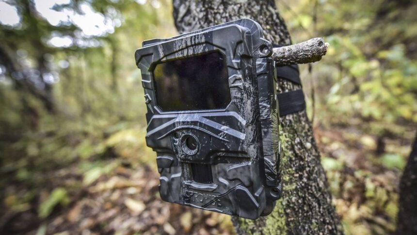 The Ultimate Guide to Finding the Best Cellular Trail Camera