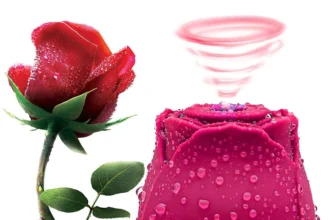 Who Can Benefit from a Rose Vibrator?