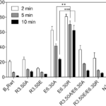 Who Uses Phenylarsine Oxide?