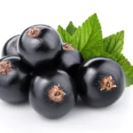 What Are the Benefits of Eating Black Currants?