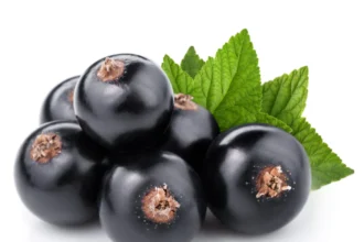 What Are the Benefits of Eating Black Currants?