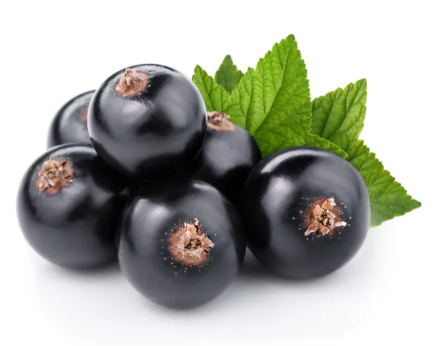 What Are the Benefits of Eating Black Currants?