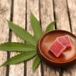 How to Choose the Best Edibles for Your Needs