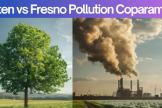 dorsten vs fresno pollution coparament