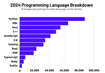 What are the top programming languages for coding to learn in 2024?