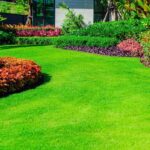 5 Ways To Maintain a Healthy Lawn Naturally