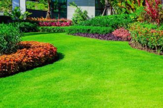 5 Ways To Maintain a Healthy Lawn Naturally