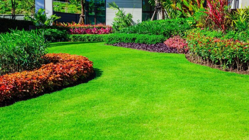 5 Ways To Maintain a Healthy Lawn Naturally