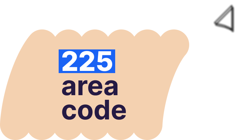 225 area code