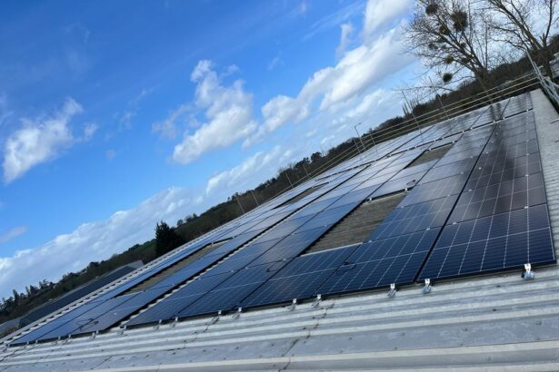 How Can Businesses Be More Sustainable Heading Into 2025