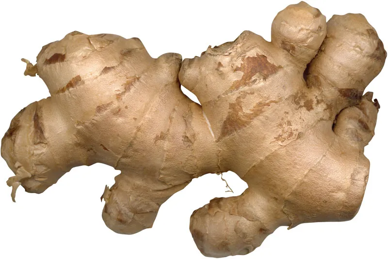 The History and Origin of Ginger