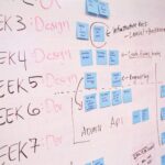 Why Task Management is Key to Team Efficiency