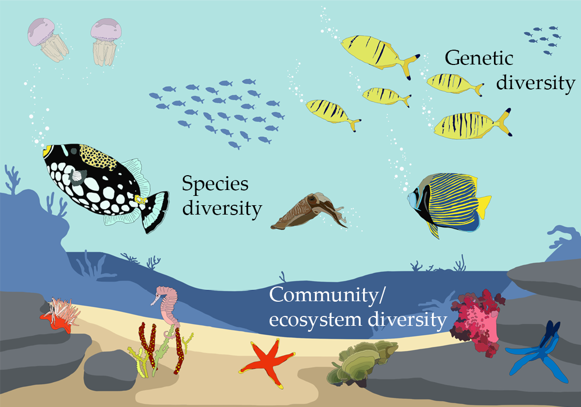 A Guide to Habitat Classification: Understanding and Protecting Earth’s ...