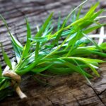 tarragon