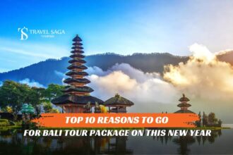 Top 10 Reasons to Go For Bali Tour Package on this New Year