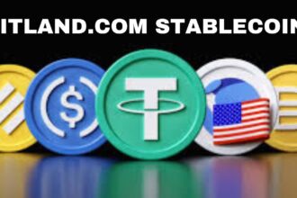 Biitland.com Stablecoins: Understanding Their Role in Digital Finance