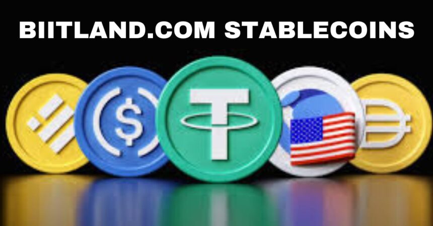 Biitland.com Stablecoins: Understanding Their Role in Digital Finance