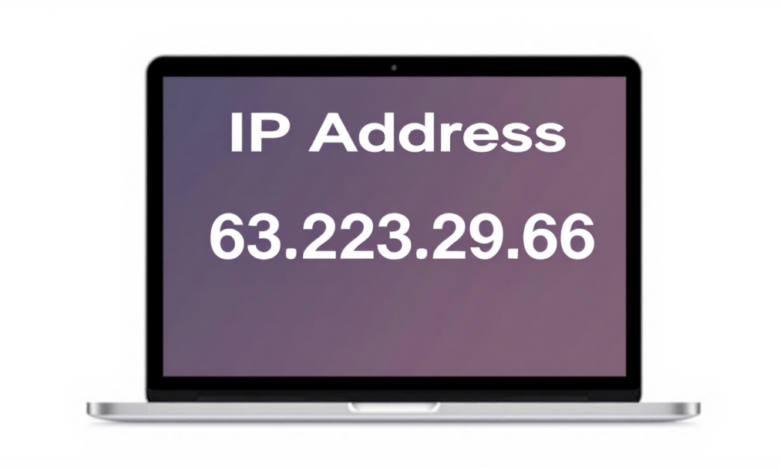 Understanding IP Addresses: What Is 63.223.29.66?