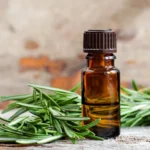 Unlocking the benefits of Rosemary oil for hair growth and health