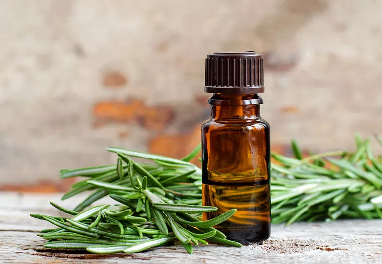 Unlocking the benefits of Rosemary oil for hair growth and health