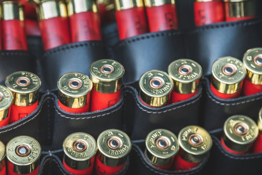 5 Expert Tips for Convenient and Safe Ammunition Storage