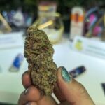 maryjays dc weed dispensary juice bar washington reviews