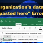 What Does "your organization's data cannot be pasted here." Error Mean?