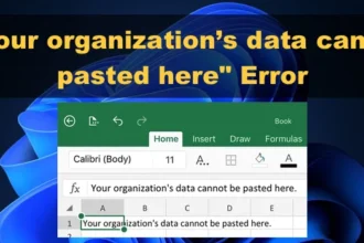 What Does "your organization's data cannot be pasted here." Error Mean?