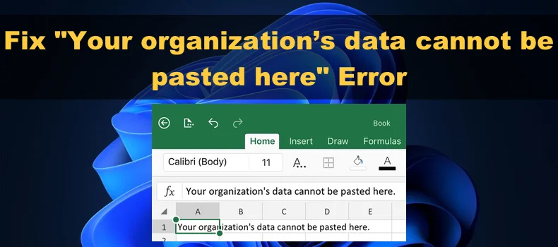 What Does "your organization's data cannot be pasted here." Error Mean?