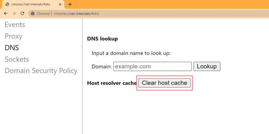 chrome.//net-internals/dns
