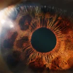 Navigating the Complexities of Zofilia: What You Need to Know