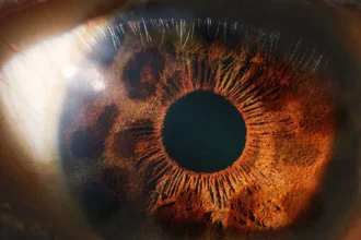 Navigating the Complexities of Zofilia: What You Need to Know