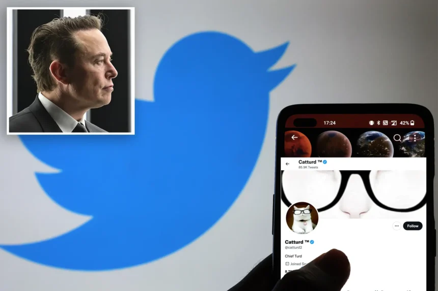 What is use catturd twitter