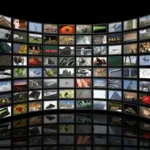 Best Nature and Wildlife Channels Available via IPTV