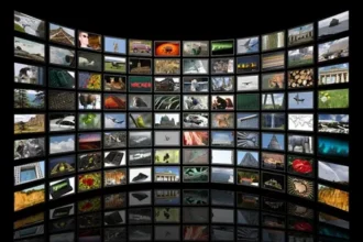 Best Nature and Wildlife Channels Available via IPTV