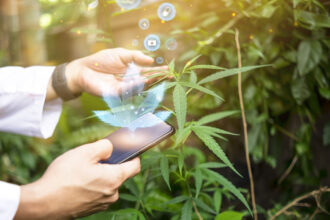 How Cannabis Supports Mental Wellness in the LGBTQ+ Community