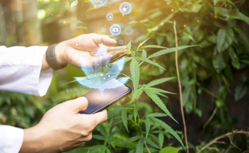 How Cannabis Supports Mental Wellness in the LGBTQ+ Community