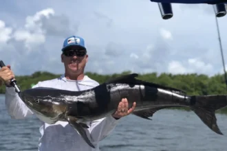 The Ultimate Guide to Fishing in Tampa Bay
