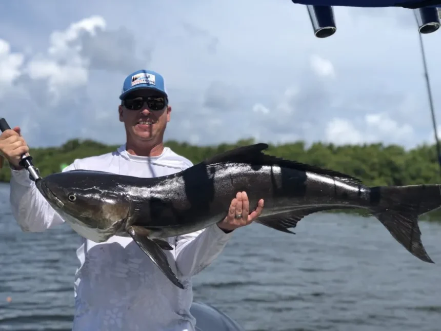 The Ultimate Guide to Fishing in Tampa Bay