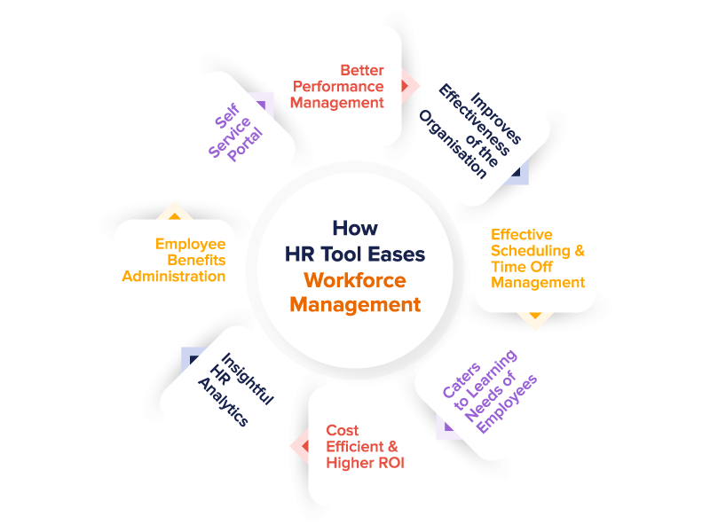 How to Utilize TheHRWP for Enhanced Workforce Management
