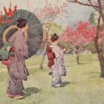 Nomurano: Understanding the Term, Origins, and Cultural Significance